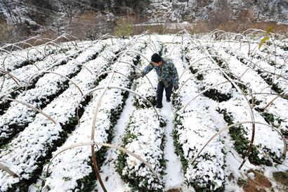 青島昨氣溫破冰點(diǎn)迎首場(chǎng)雪 2日雪景將再現(xiàn)