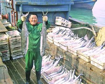 青島本地春鲅魚價(jià)格漲1半 200元1條女婿難笑