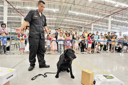 緝毒犬姐弟秀絕活驚艷眾人 不愛食物獎勵愛拔河