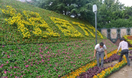 中秋國(guó)慶臨近節(jié)日氣氛濃 靚麗街景裝扮青島