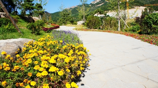 世園會內(nèi)景曝光:繁花似錦 鳥鳴婉轉(zhuǎn)