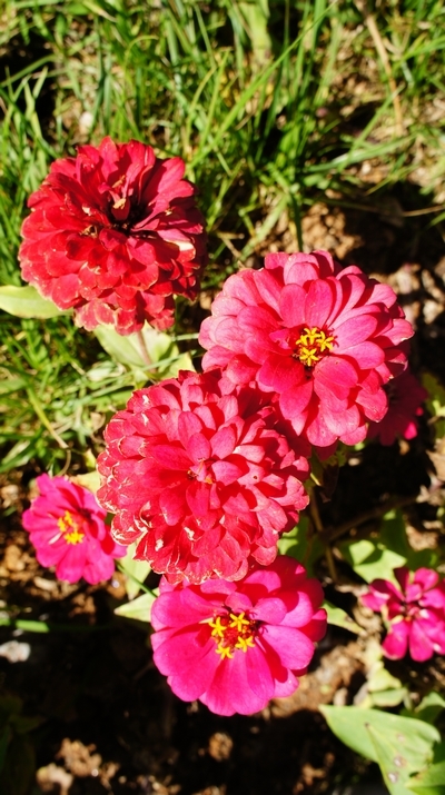 世園會內(nèi)景曝光:繁花似錦 鳥鳴婉轉(zhuǎn)