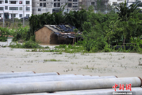 臺風山神過境三亞大風暴雨 市民街上下網捕魚