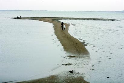 青島膠州灣岸線終極性保護方案出爐