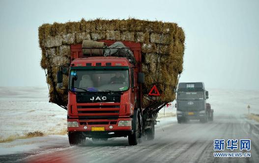 （社會）（2）內(nèi)蒙古錫林郭勒草原降雪降溫