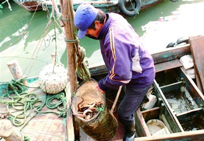 靈山島漁民改行釣鰻魚月入兩萬 一天能掙三千