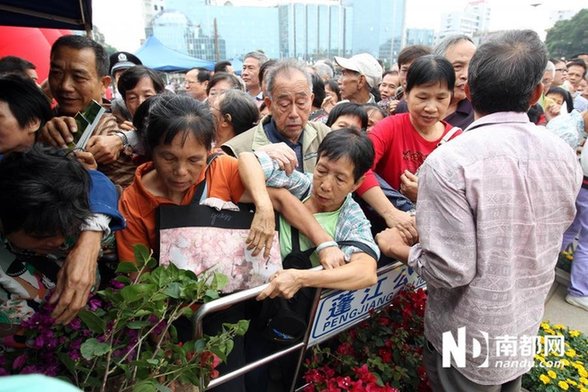 江門免費(fèi)派花 民眾推倒圍欄哄搶