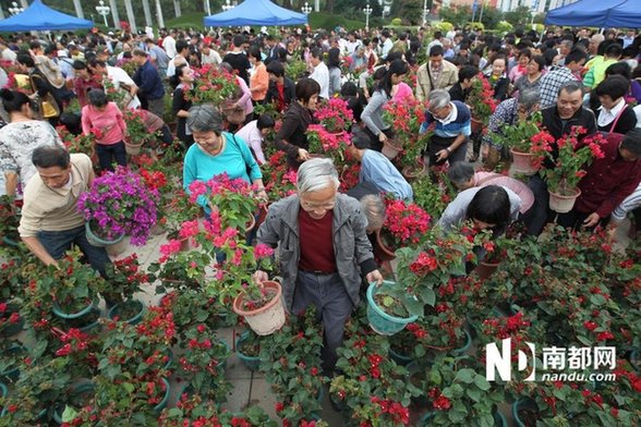 江門免費(fèi)派花 民眾推倒圍欄哄搶