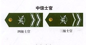 人人都該知道的軍銜常識 必須看