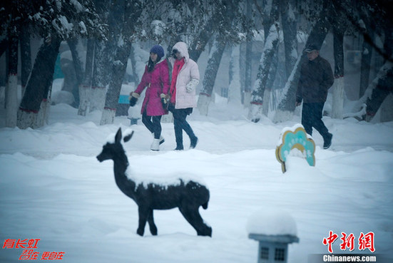 烏魯木齊成“林海雪原”