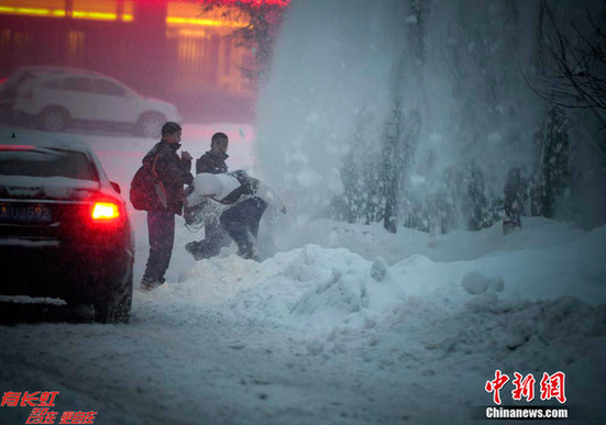 烏魯木齊成“林海雪原”