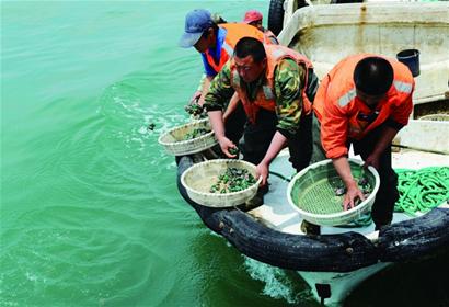 黃島石嶺子、齋堂島兩處人工魚(yú)礁一期項(xiàng)目均已建成 將開(kāi)展垂釣潛水等休閑項(xiàng)目