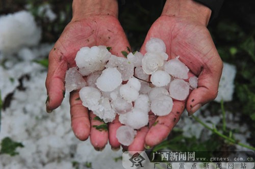 忻城縣北更鄉(xiāng)鳳凰村的村民撿起遺留的冰雹。